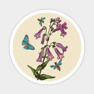 botanical illustration of the bell, butterfly and wasp plants Magnet